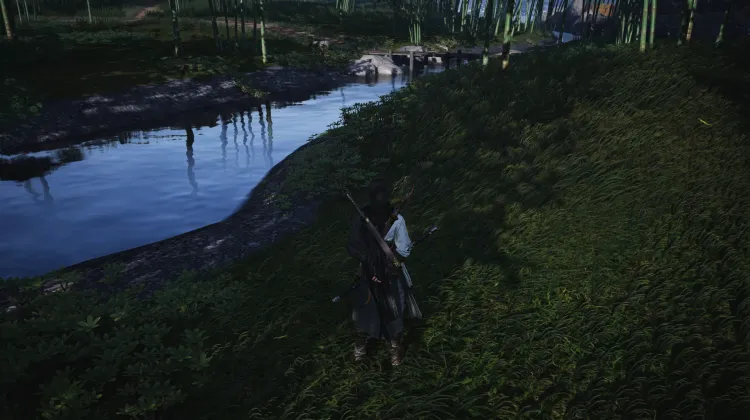 Crapaud Rayon de Lune