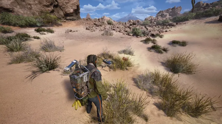 Alijos de Saqueadores