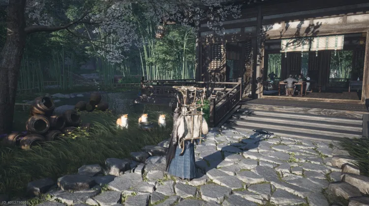 Une Vie de Chien par Choix