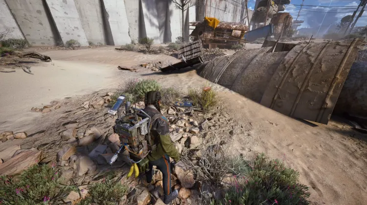 Alijos de Saqueadores