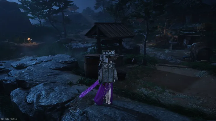 L'Homme dans le Puits