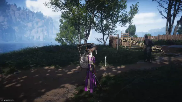 L'Inquiétude du Veuf