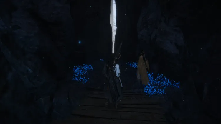 Échos de la Mémoire