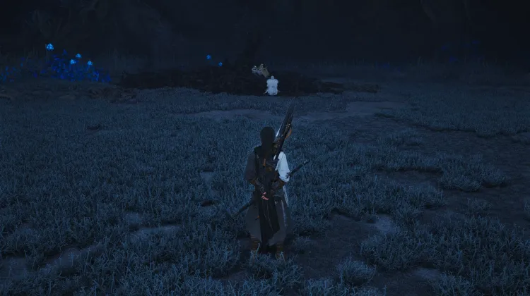 Une Promesse Accomplie