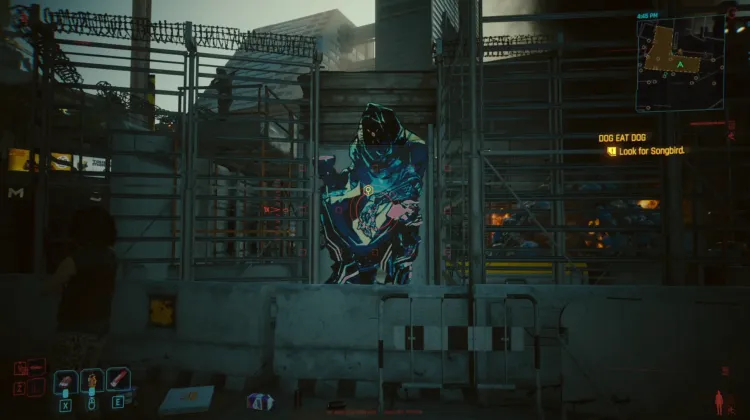 กษัตริย์แห่งถ้วย