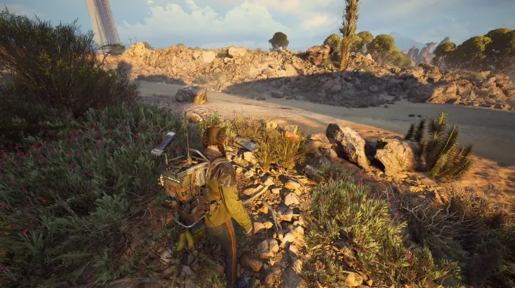 Alijos de Saqueadores