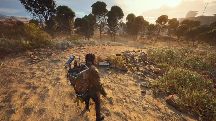 Alijos de Saqueadores