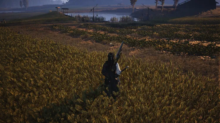 Crapaud Rayon de Lune