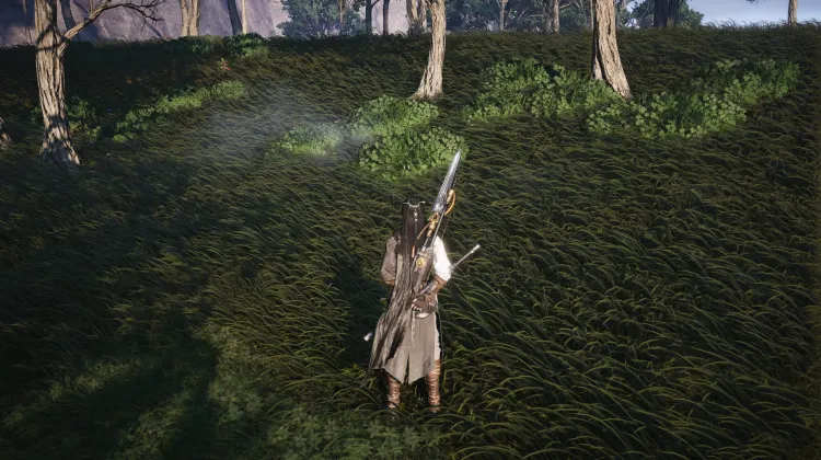 Crapaud Rayon de Lune