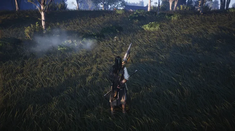 Crapaud Rayon de Lune