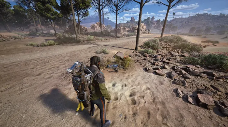 Alijos de Saqueadores