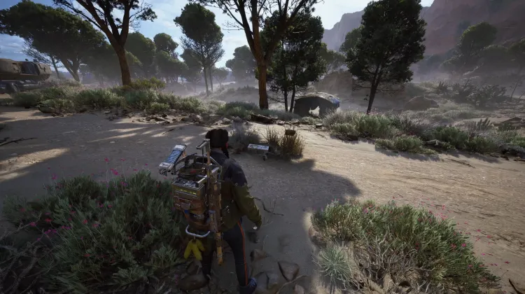 Alijos de Saqueadores