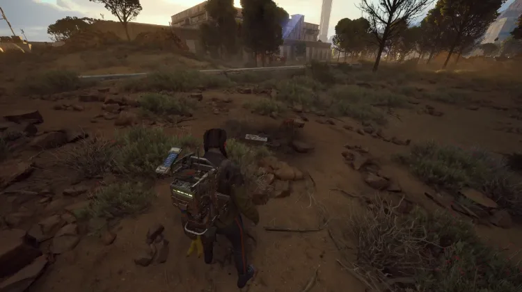 Alijos de Saqueadores