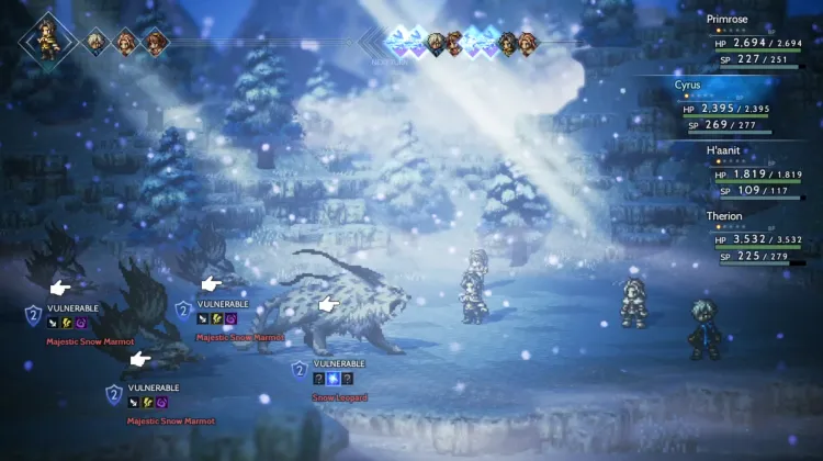 Kar Leoparı ve Görkemli Kar Marmotu (3x)