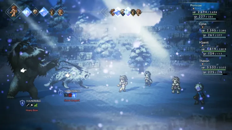 Kar Leoparı ve Kır Ayısı