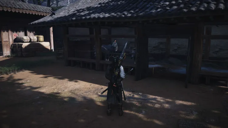 Déguisement et Récupération