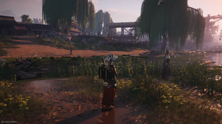 Crapaud Rayon de Lune