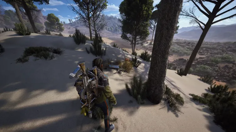 Alijos de Saqueadores