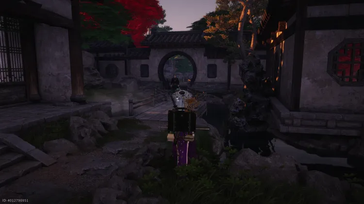 Crapaud Rayon de Lune