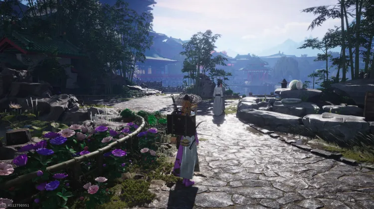 Crapaud Rayon de Lune