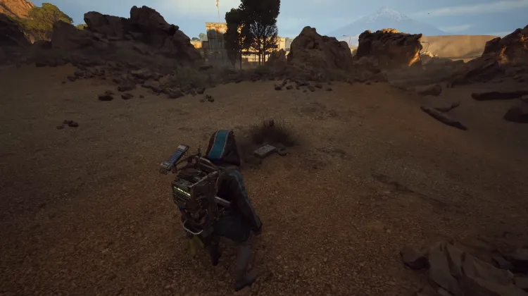 Alijos de Saqueadores