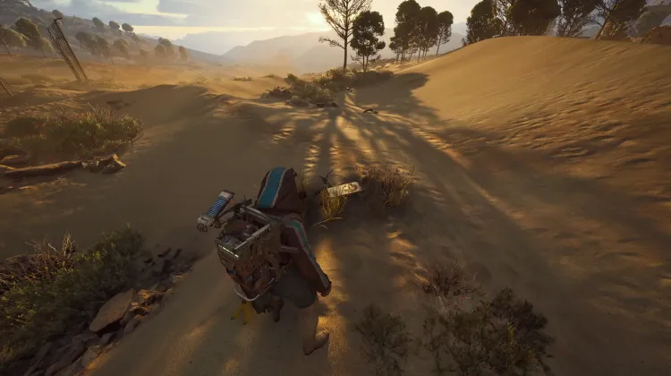 Alijos de Saqueadores