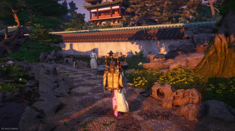 Crapaud Rayon de Lune