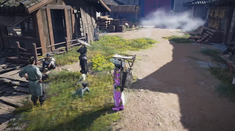 Ballades et Empreintes de Pattes