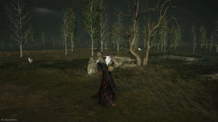 Salle de la Miséricorde