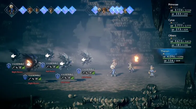 Corvo Cenerino (3x) e Corvo Notturno (2x)