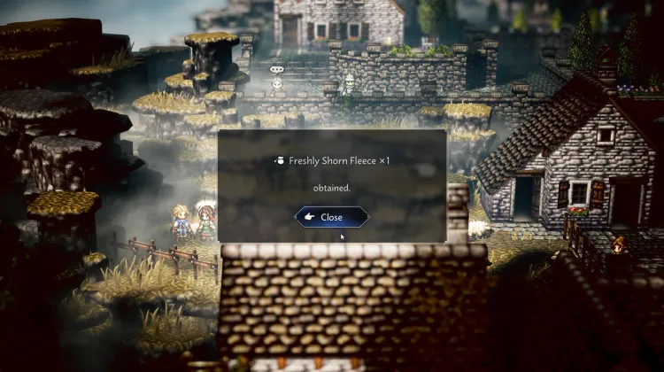 Taze Kırpılmış Yapağı