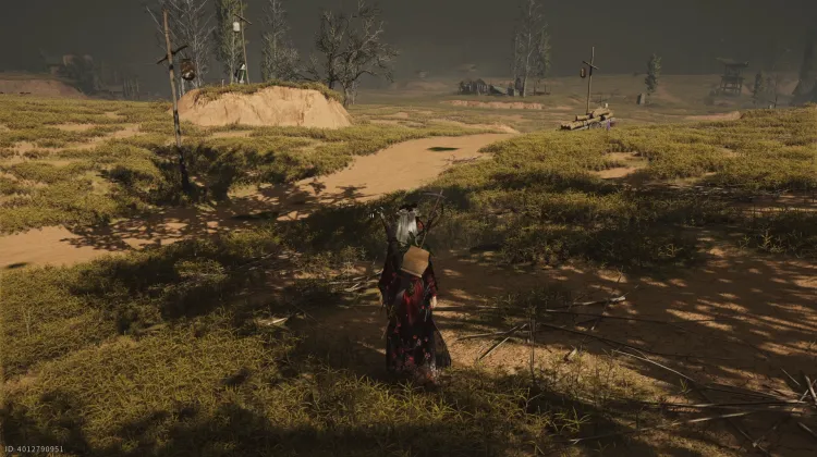 Crapaud Rayon de Lune