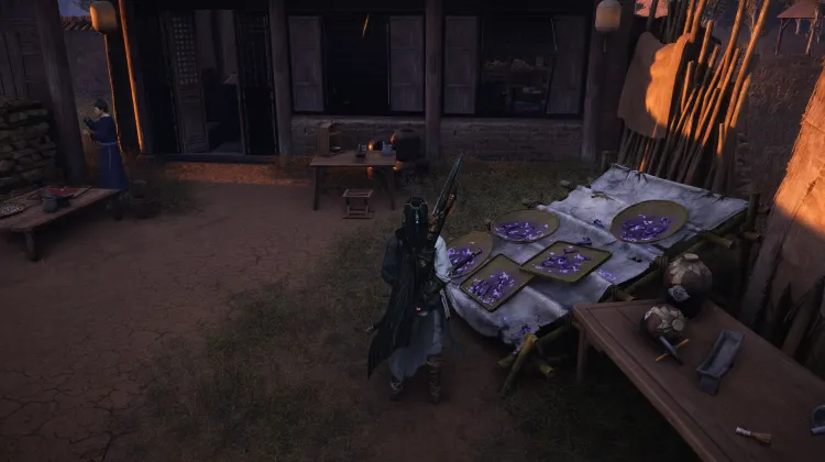 Grignoteur de Minuit