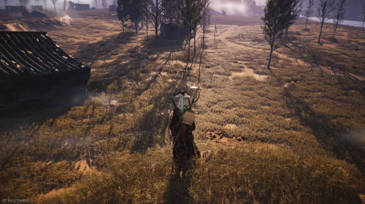 Crapaud Rayon de Lune