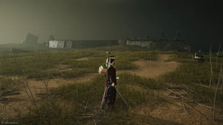 Crapaud Rayon de Lune