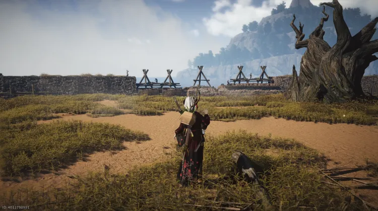 Crapaud Rayon de Lune