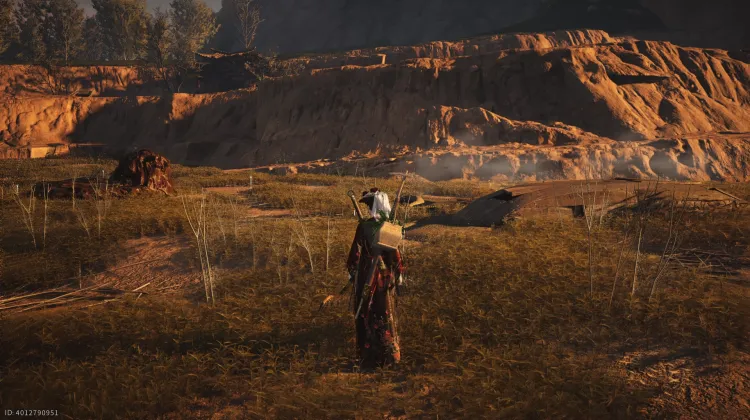 Crapaud Rayon de Lune