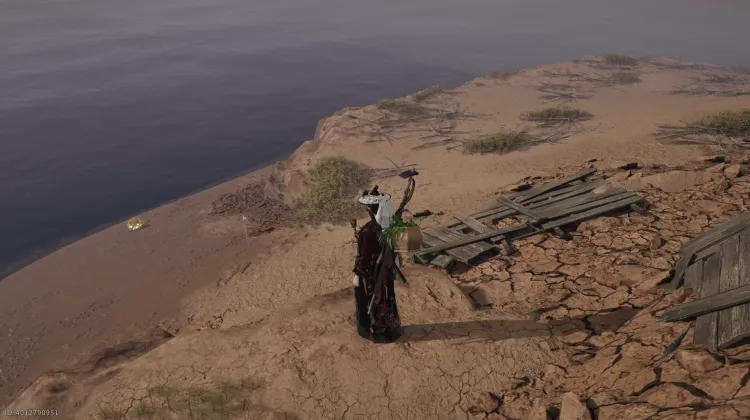 Crapaud Rayon de Lune