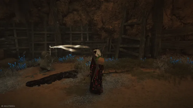 Forêt Centrale de Mistveil