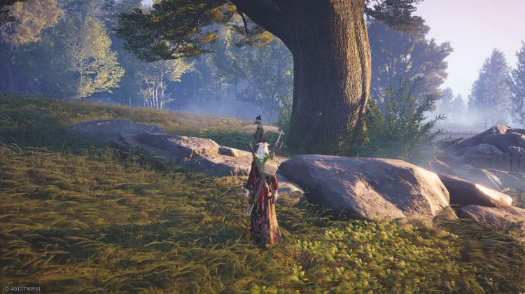 N'oublie pas - Contes errants