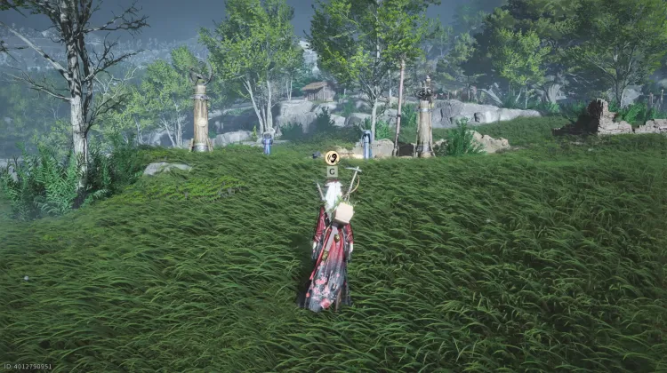 N'oublie pas - Contes errants