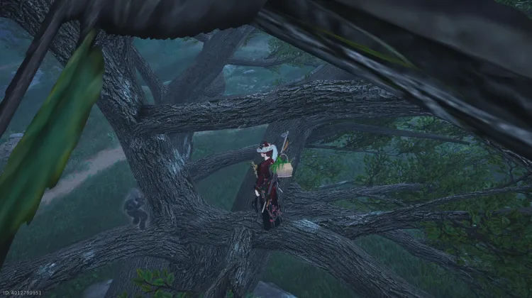 N'oublie pas - Contes errants