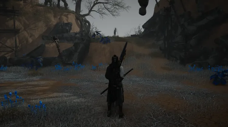 La Flétrissure Éphémère