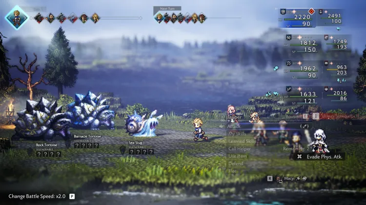 Midye Kaplumbağası