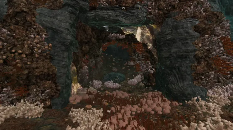 Guantes de Floración de Resaca