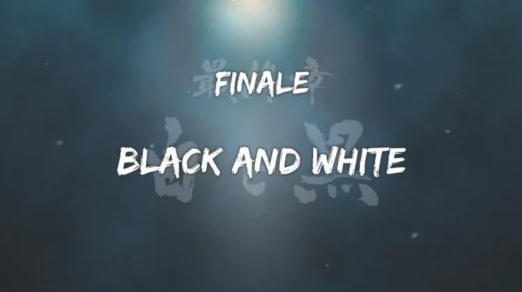 Finale: Schwarz und Weiß