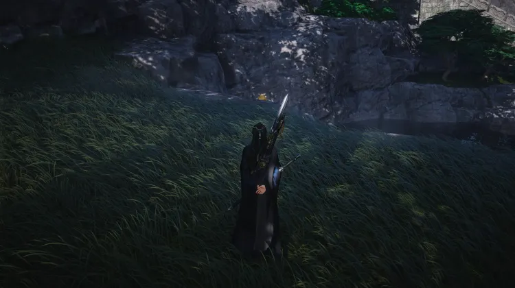 Crapaud Rayon de Lune