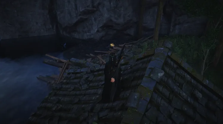 Crapaud Rayon de Lune