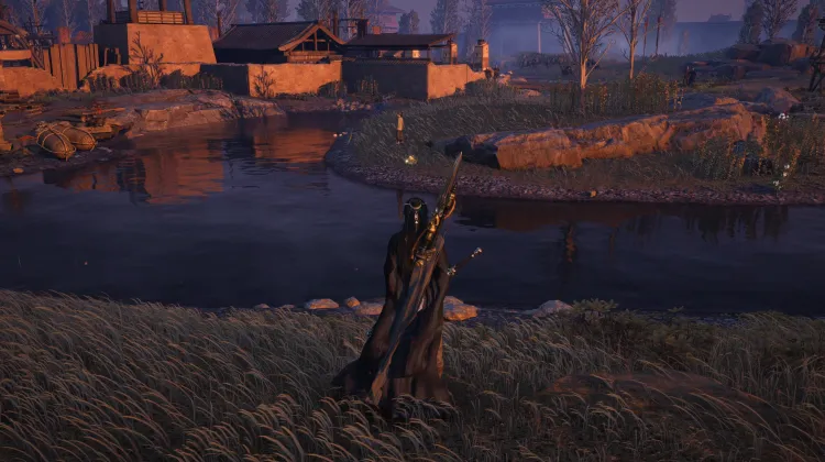 Crapaud Rayon de Lune