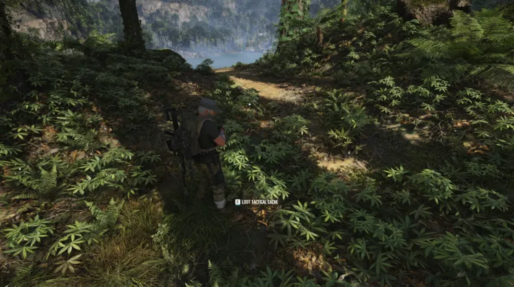 Tactical Caches